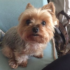 Meet your Posher, Deena